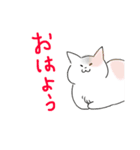 落書きねこさん3（個別スタンプ：3）