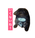 Cute Dog Name is LOVE（個別スタンプ：6）