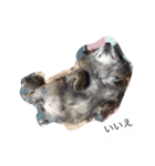 Cute Dog Name is LOVE（個別スタンプ：8）