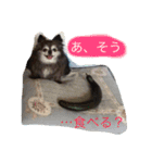 Cute Dog Name is LOVE（個別スタンプ：18）