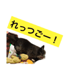Cute Dog Name is LOVE（個別スタンプ：21）