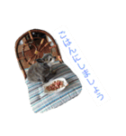 Cute Dog Name is LOVE（個別スタンプ：35）