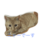 可愛い愛する愛犬と猫（個別スタンプ：4）