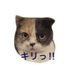 ウランちゃん2（個別スタンプ：2）