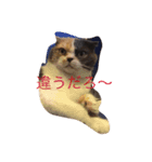 ウランちゃん2（個別スタンプ：6）
