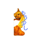 オスの家猫（個別スタンプ：12）
