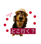 ダックス みなみの毎日ことば（個別スタンプ：18）