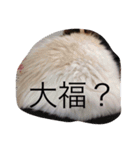 にゃんこっず（個別スタンプ：16）