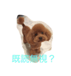 レディーとアンディ（個別スタンプ：4）