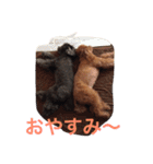 レディーとアンディ（個別スタンプ：6）