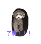 レディーとアンディ（個別スタンプ：7）