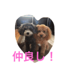 レディーとアンディ（個別スタンプ：10）