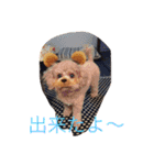 レディーとアンディ（個別スタンプ：11）