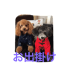 レディーとアンディ（個別スタンプ：16）