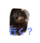 レディーとアンディ（個別スタンプ：23）