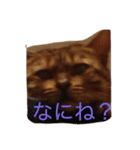 barong#3（個別スタンプ：4）