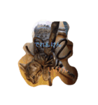 barong#3（個別スタンプ：7）