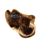 barong#3（個別スタンプ：9）