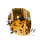 ヒトコトひとりごと（個別スタンプ：4）