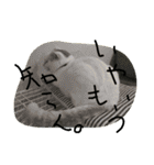 ヒトコトひとりごと（個別スタンプ：9）