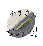 ヒトコトひとりごと（個別スタンプ：10）