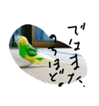 ヒトコトひとりごと（個別スタンプ：13）