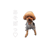 Mfamily88papa（個別スタンプ：2）