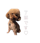 Mfamily88papa（個別スタンプ：13）