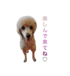 Mfamily88papa（個別スタンプ：14）