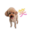 Mfamily88papa（個別スタンプ：19）