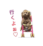 Mfamily88papa（個別スタンプ：20）