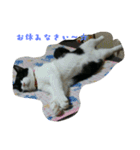 mariannu（個別スタンプ：1）