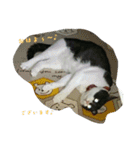 mariannu（個別スタンプ：4）