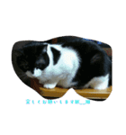 mariannu（個別スタンプ：7）