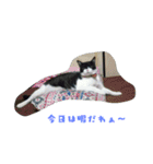 mariannu（個別スタンプ：8）