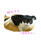 mariannu（個別スタンプ：15）