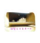 mariannu（個別スタンプ：22）