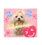 うちのプリンたん（個別スタンプ：8）