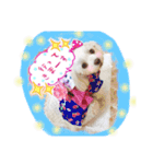 うちのプリンたん（個別スタンプ：9）