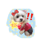 うちのプリンたん（個別スタンプ：17）