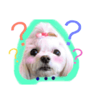 うちのプリンたん（個別スタンプ：20）