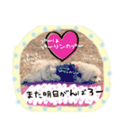 うちのプリンたん（個別スタンプ：24）