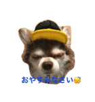 タバサとプッチの一言（個別スタンプ：13）