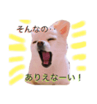 のえるとふぅ（個別スタンプ：1）