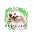 のえるとふぅ（個別スタンプ：2）