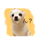 のえるとふぅ（個別スタンプ：3）
