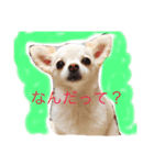のえるとふぅ（個別スタンプ：4）