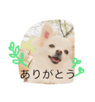 のえるとふぅ（個別スタンプ：5）