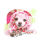 のえるとふぅ（個別スタンプ：6）