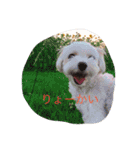 のえるとふぅ（個別スタンプ：8）